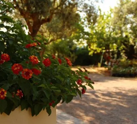 Rio Barca Guest house Alghero